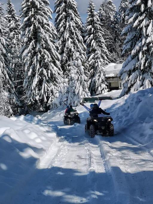 Vila Florilor Buşteni Esterno foto